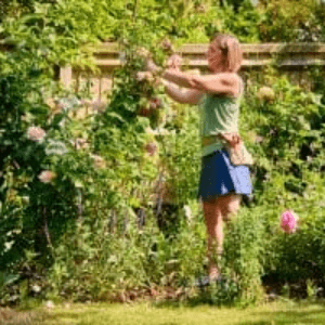 Becoming a self-employed Gardener: The Basics