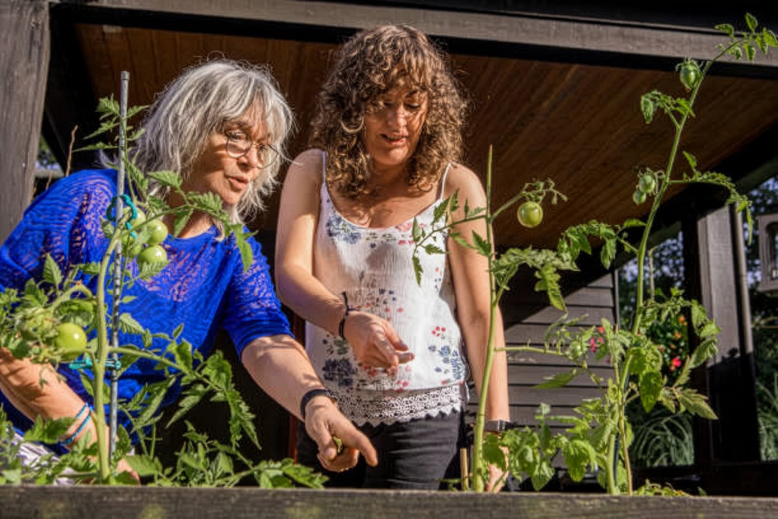 garden-owners-faqs-iczz