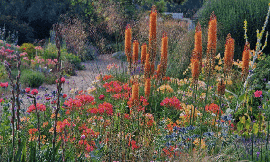 Garden Safari: Beth Chatto Gardens, Elstead Market, Essex