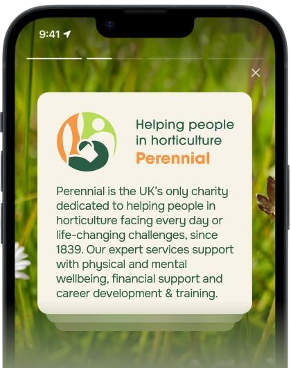 WeWeed mobile preview